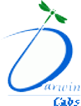 Дарвин Кабс