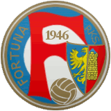 Фортуна Плешень