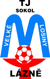Велке Лосины