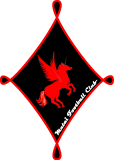 Матаи ФК